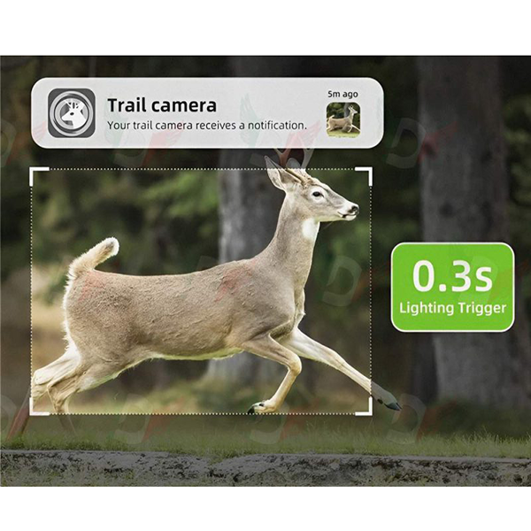 01 دوربین تله ای، شکار محیط بانی و حیات وحش(Trail Camera)سولار و سیمکارتی مدل HW23